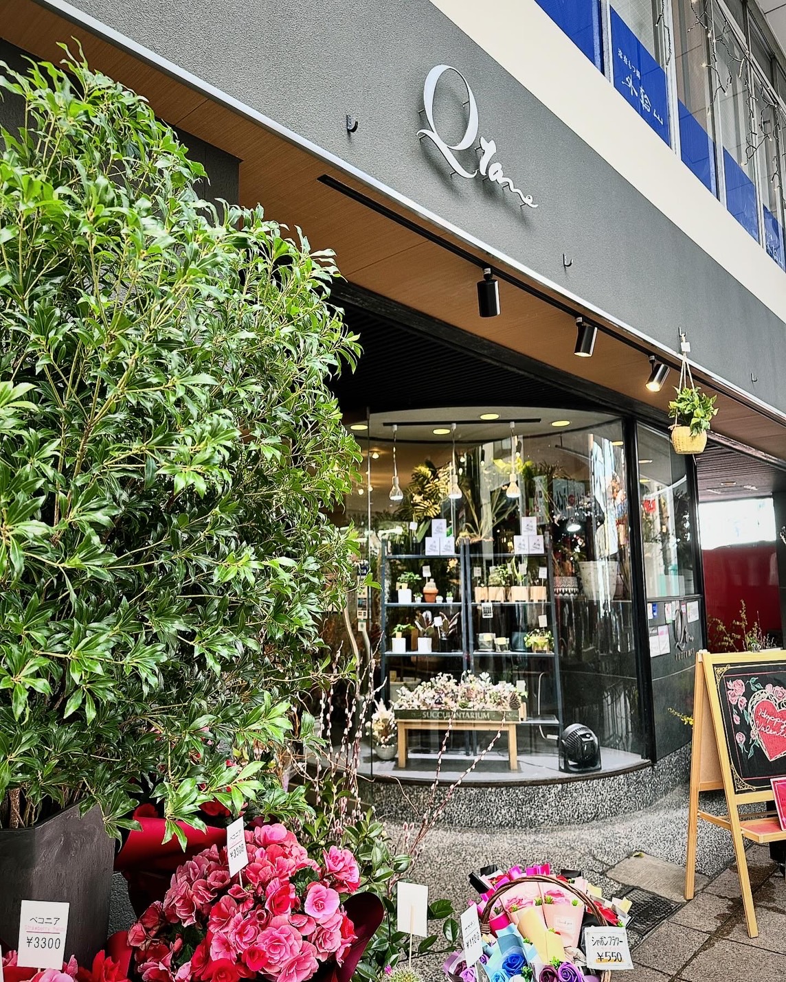 Qtane（キュータネ）